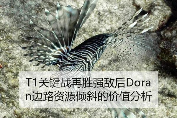 T1关键战再胜强敌后Doran边路资源倾斜的价值分析
